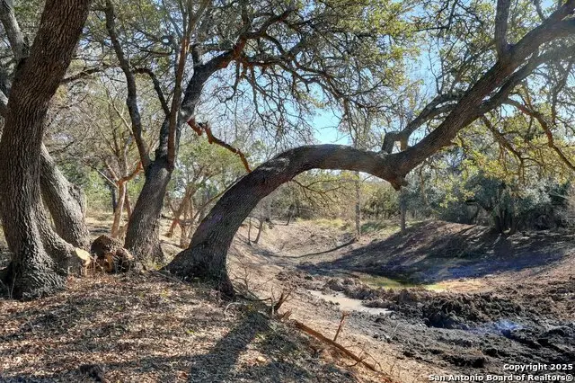 LOT A Ranch Rd 165, Blanco, TX 78606 - Image #3