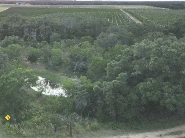 TBD Bruce Rd., Pleasanton, TX 78064 - Image #2