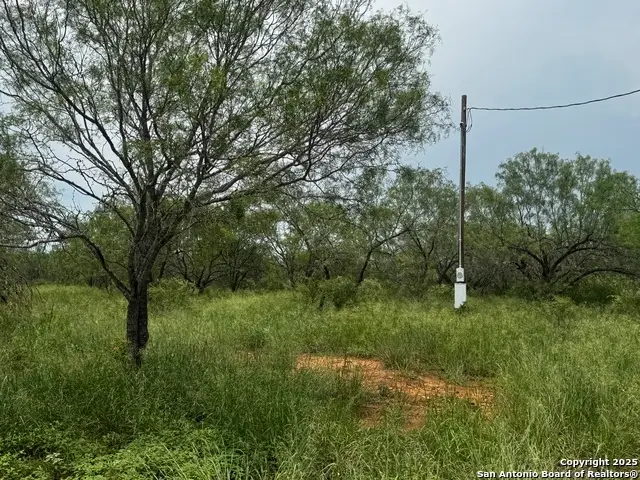 TBD E Fm 462, Moore, TX 78057 - Image #1