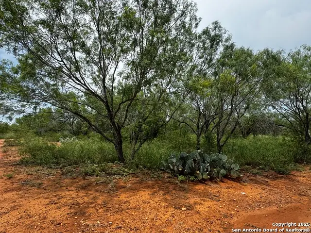 TBD E Fm 462, Moore, TX 78057 - Image #3