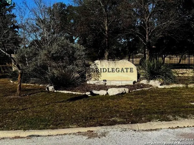 145 Horseshoe Falls, Bandera, TX 78003 - #1