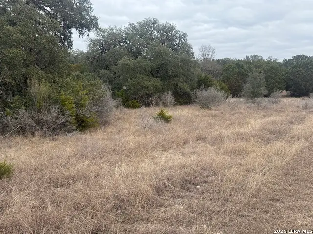 145 Horseshoe Falls, Bandera, TX 78003 - #3