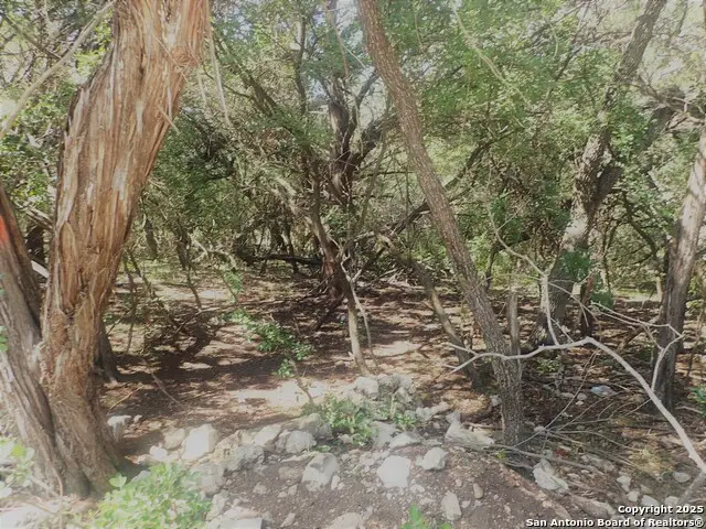 11-13 Mountain, Lakehills, TX 78063 - Image #3