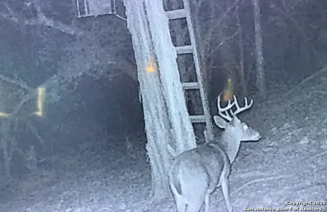 424 Sierra Vis, Tarpley, TX 78883 - Image #2