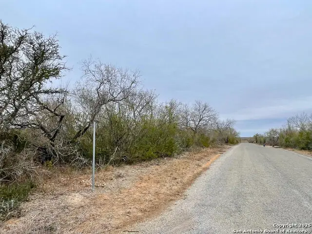 LOT 31 County Road 1628, Moore, TX 78057 - Image #3
