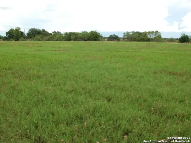 179 County Road 4216, Dhanis, TX 78850 - Image #2