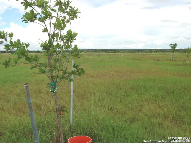 179 County Road 4216, Dhanis, TX 78850 - Image #3