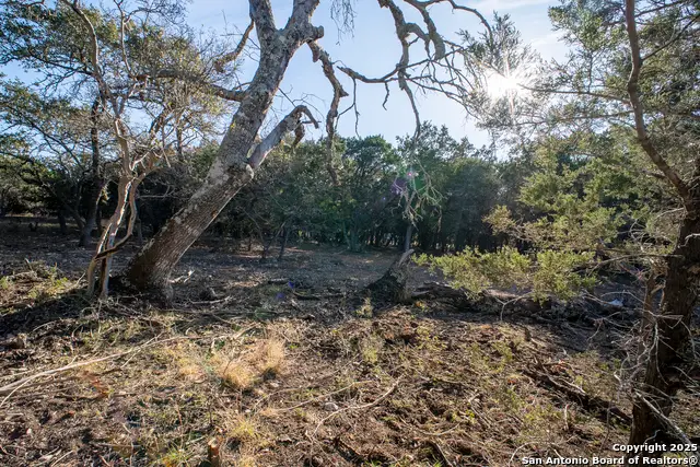 168 Forest Ridge, Lakehills, TX 78063 - Image #3