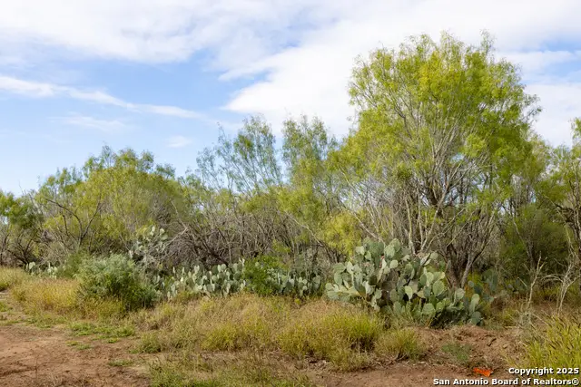 6 Fm 1581, Pearsall, TX 78061 - Image #2
