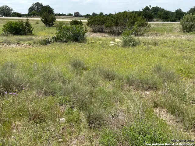 LOT 138 Palomino Springs, Bandera, TX 78003 - #3