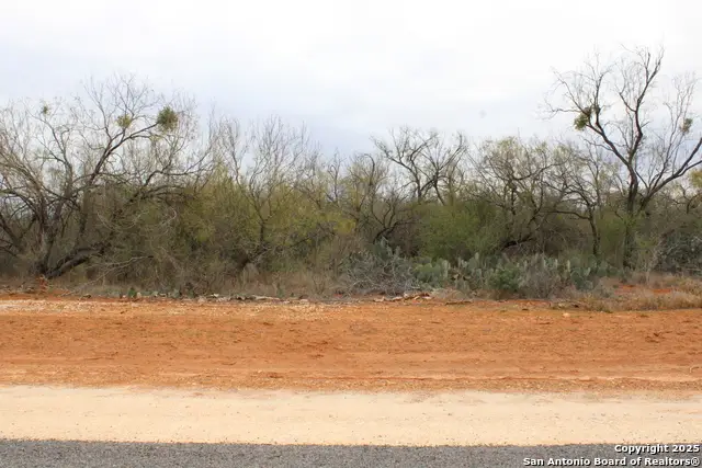 3435 County Road/main Street, Pearsall, TX 78061 - #1
