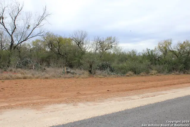 3435 County Road/main Street, Pearsall, TX 78061 - #2