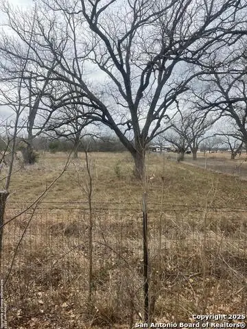 TBD CR 6712 County Road 6712, Devine Natalia, TX 78059 - Image #3