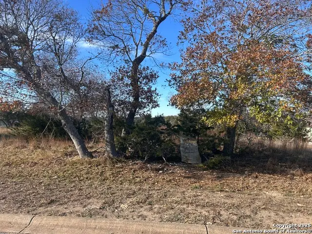 1222 Libby Lookout, Canyon Lake, TX 78133 - #2