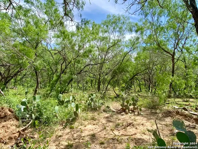 TBD Dairy Road, Pleasanton, TX 78064 - Image #3