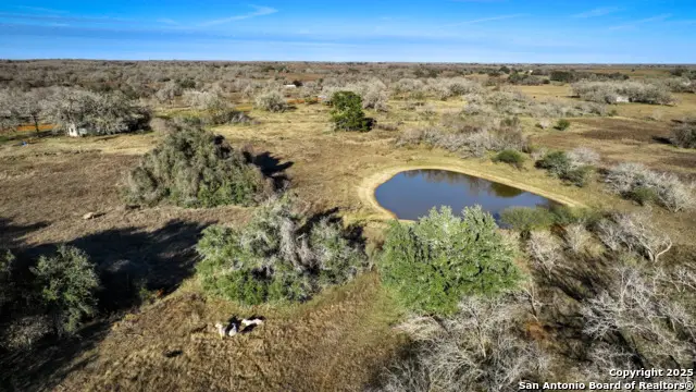 50+/- ACRES Fm 1681, Nixon, TX 78140 - Image #1