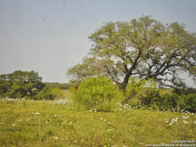 TBD Cr 2615, Devine, TX 78016 - Image #2