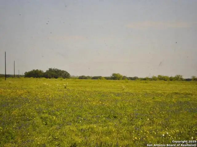 TBD Cr 2615, Devine, TX 78016 - Image #3
