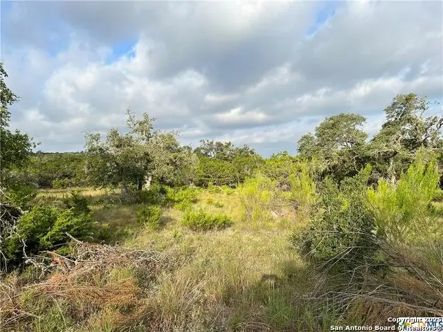 1134 Madrone Road, Fischer, TX 78623 - Image #2
