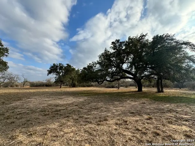 TBD County Road 765, Devine, TX 78016 - Image #3