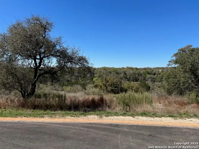 1705 Lake Ridge Blvd, Canyon Lake, TX 78133 - #2