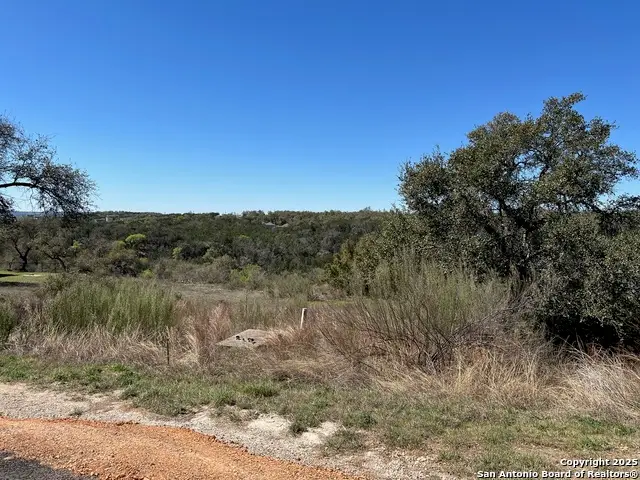 1705 Lake Ridge Blvd, Canyon Lake, TX 78133 - #3