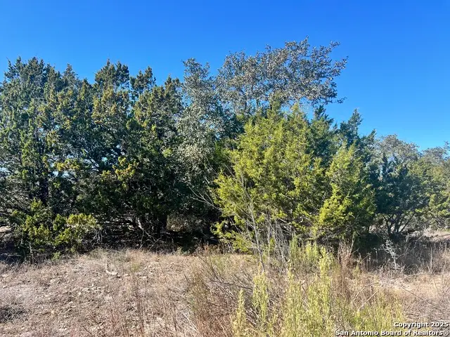 422 Eider Cove, Spring Branch, TX 78070 - Image #3