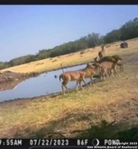 527 Sd 74100, Rocksprings, TX 78880 - Image #2