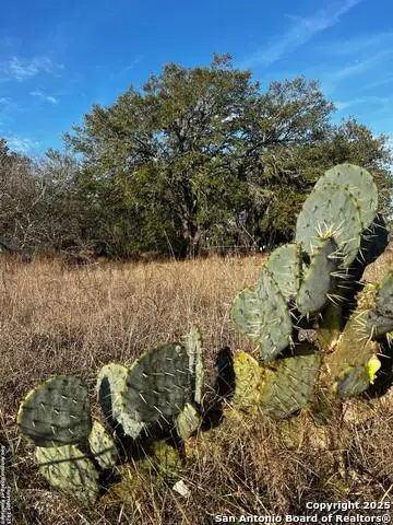 LOT 28 Mariposa Dr, Poteet, TX 78065