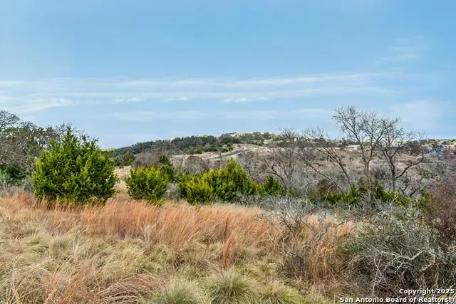 361 N Echo Falls, Comfort, TX 78013 - #3