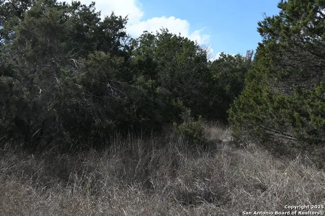 979 & 987 Deer Valley Pass, Spring Branch, TX 78070 - Image #3