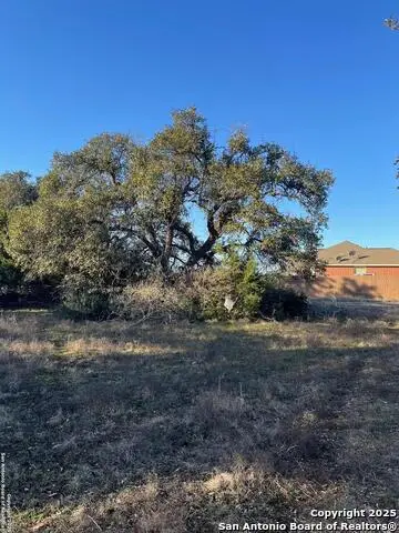 205 S Calvin Barrett, Blanco, TX 78606