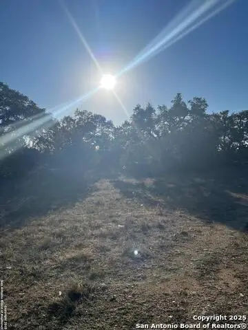 205 S Calvin Barrett, Blanco, TX 78606 - #3