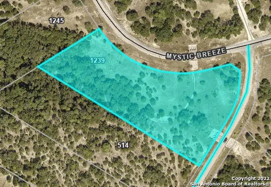 1239 Mystic Breeze, Spring Branch, TX 78070 - Image #3