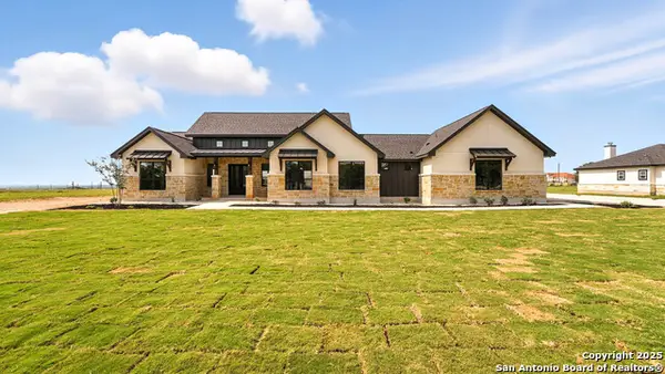 1223 County Road 319, La Vernia, TX 78121