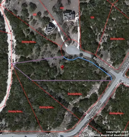 LOT 265 Private Road 1739, Mico, TX 78056 - Image #2