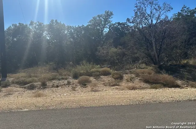 935 Serene Park, Spring Branch, TX 78070 - #2