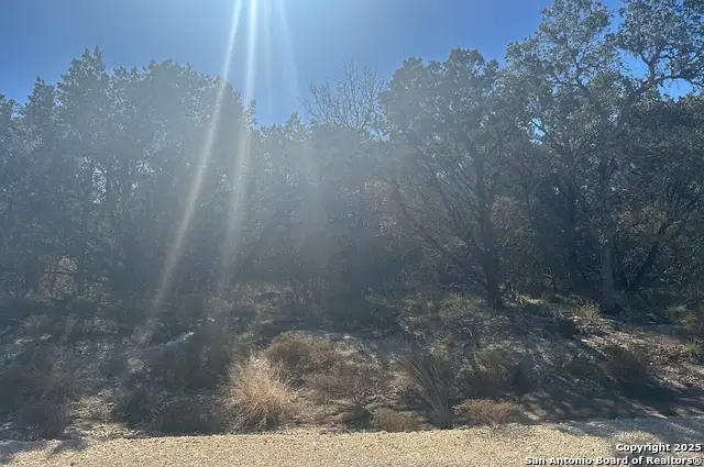 935 Serene Park, Spring Branch, TX 78070 - #3