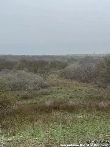 00 S County Road 153, Kenedy, TX 78119 - Image #1