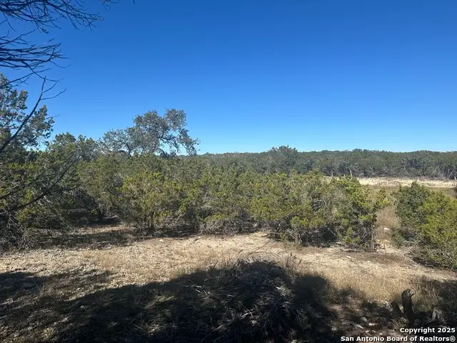 371 Serenity Pass, Spring Branch, TX 78070 - #1