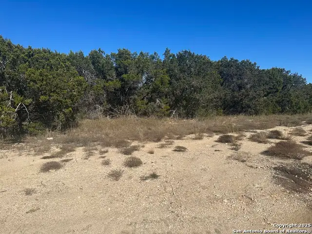 371 Serenity Pass, Spring Branch, TX 78070 - #3