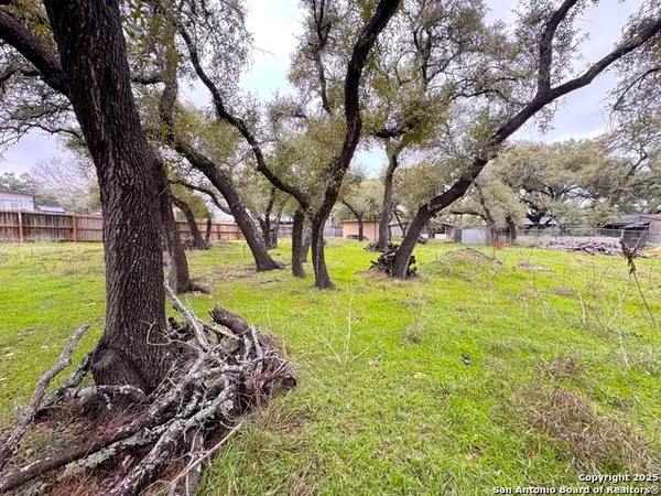 TBD Irene Dr, Canyon Lake, TX 78133