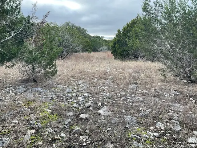 11 Ledgestone Trl, Boerne, TX 78006 - Image #2