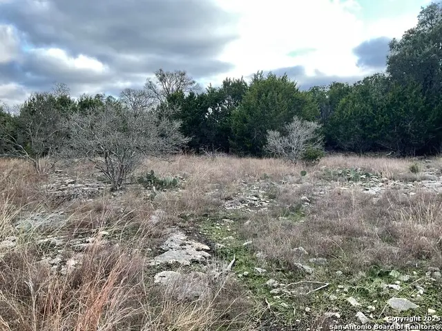 11 Ledgestone Trl, Boerne, TX 78006 - Image #3