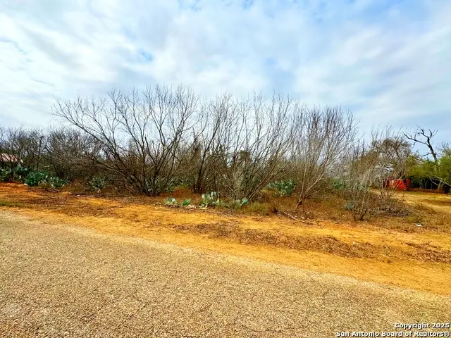 TBD Old Hwy 81 Lot 2, Moore, TX 78057 - Image #3