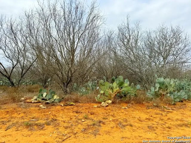 TBD Old Hwy 81 Lot 3, Moore, TX 78057 - Image #1