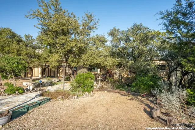 903 Bumelia Dr, San Antonio, TX 78260 - Image #3