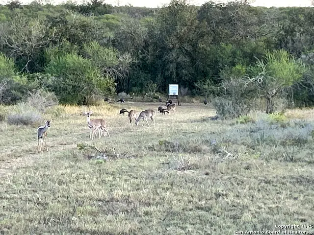 0000 Rockhill Rd, Goliad South, TX 79119 - #1