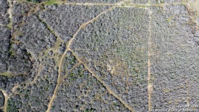 0000 Rockhill Rd, Goliad South, TX 79119 - #3