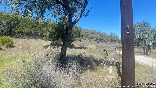 1395 Overbrook Ln, Spring Branch, TX 78070